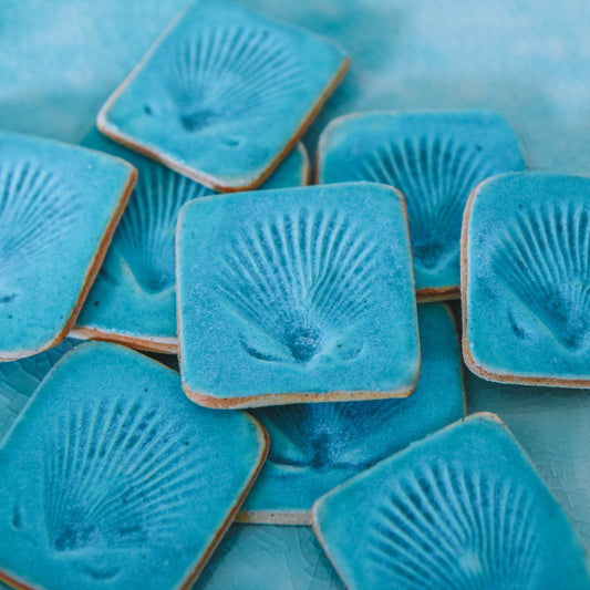 Shell Imprint Magnet