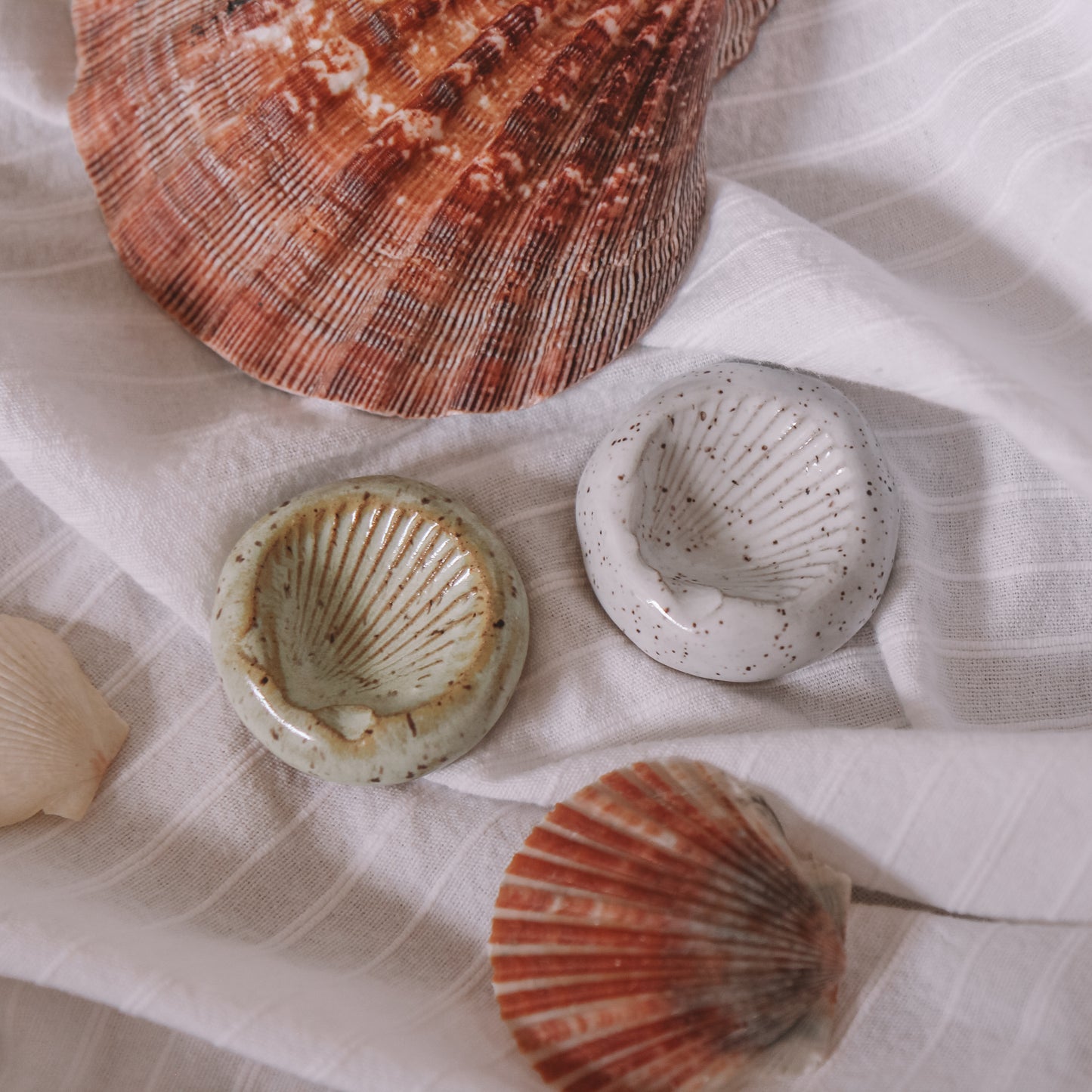 Scallop Shell Ring Dish