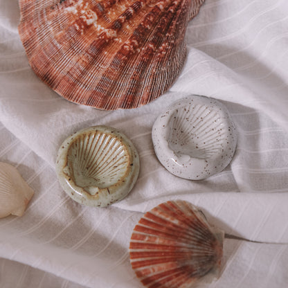 Scallop Shell Ring Dish