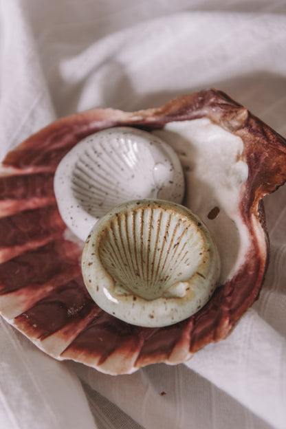 Scallop Shell Ring Dish