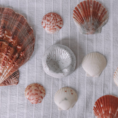 Mini Scallop Shell Ring Dish