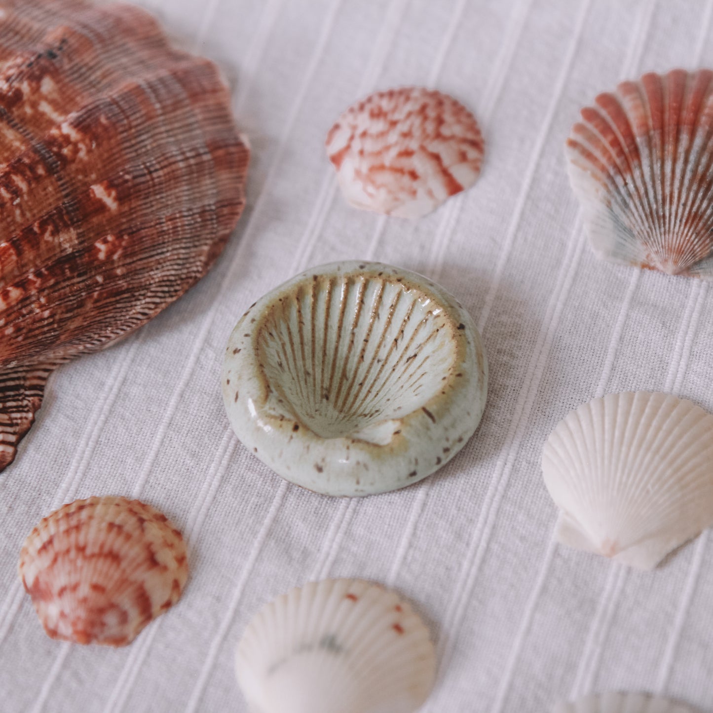 Scallop Shell Ring Dish