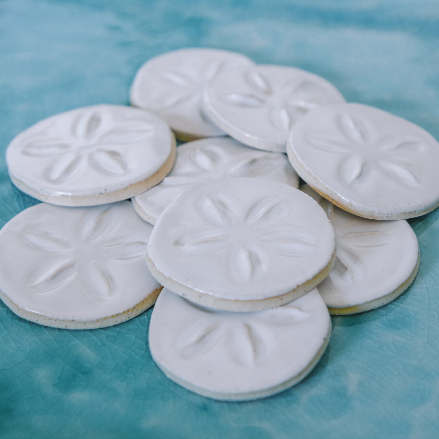 Sand Dollar Magnet