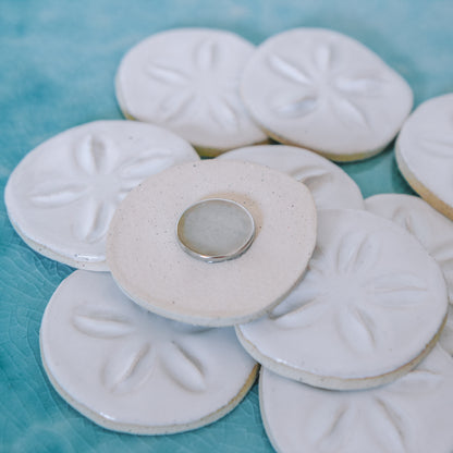 Sand Dollar Magnet