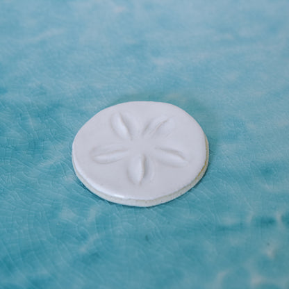Sand Dollar Magnet