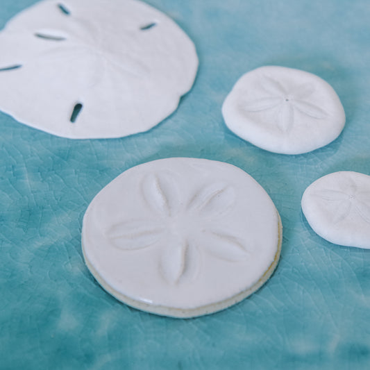 Sand Dollar Magnet