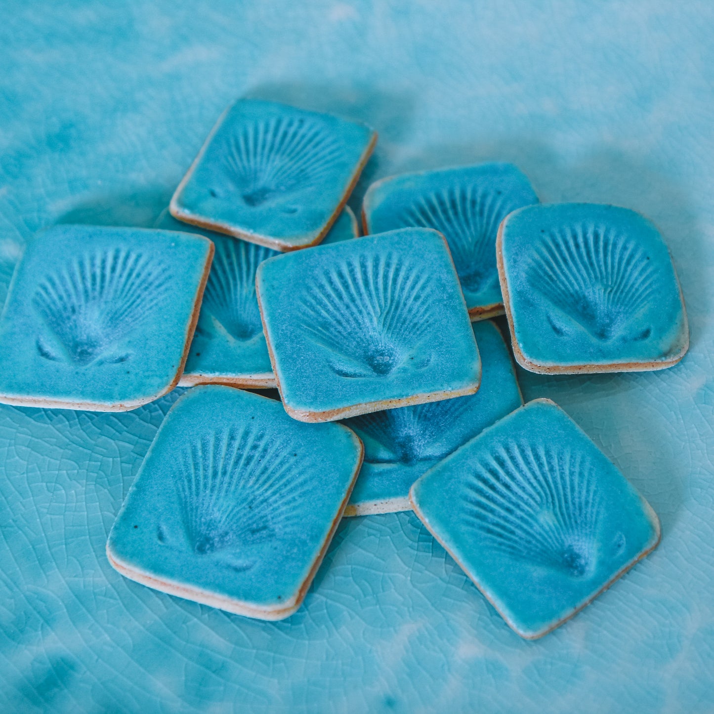 Shell Imprint Magnet