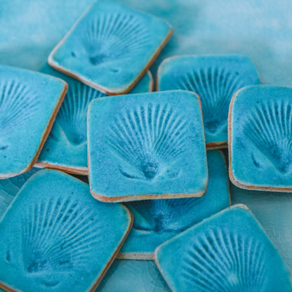 Shell Imprint Magnet