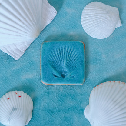 Shell Imprint Magnet