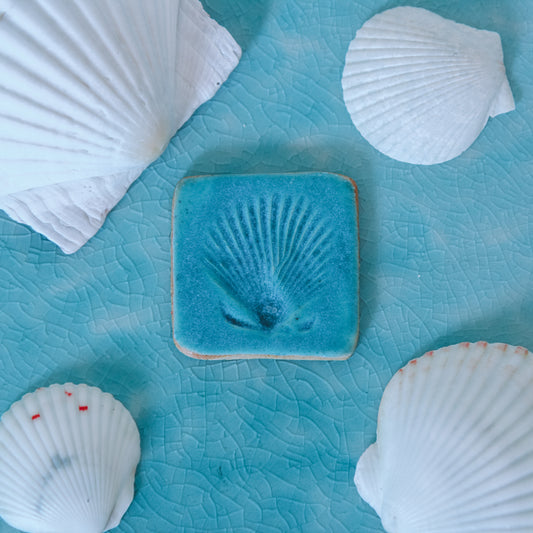 Shell Imprint Magnet