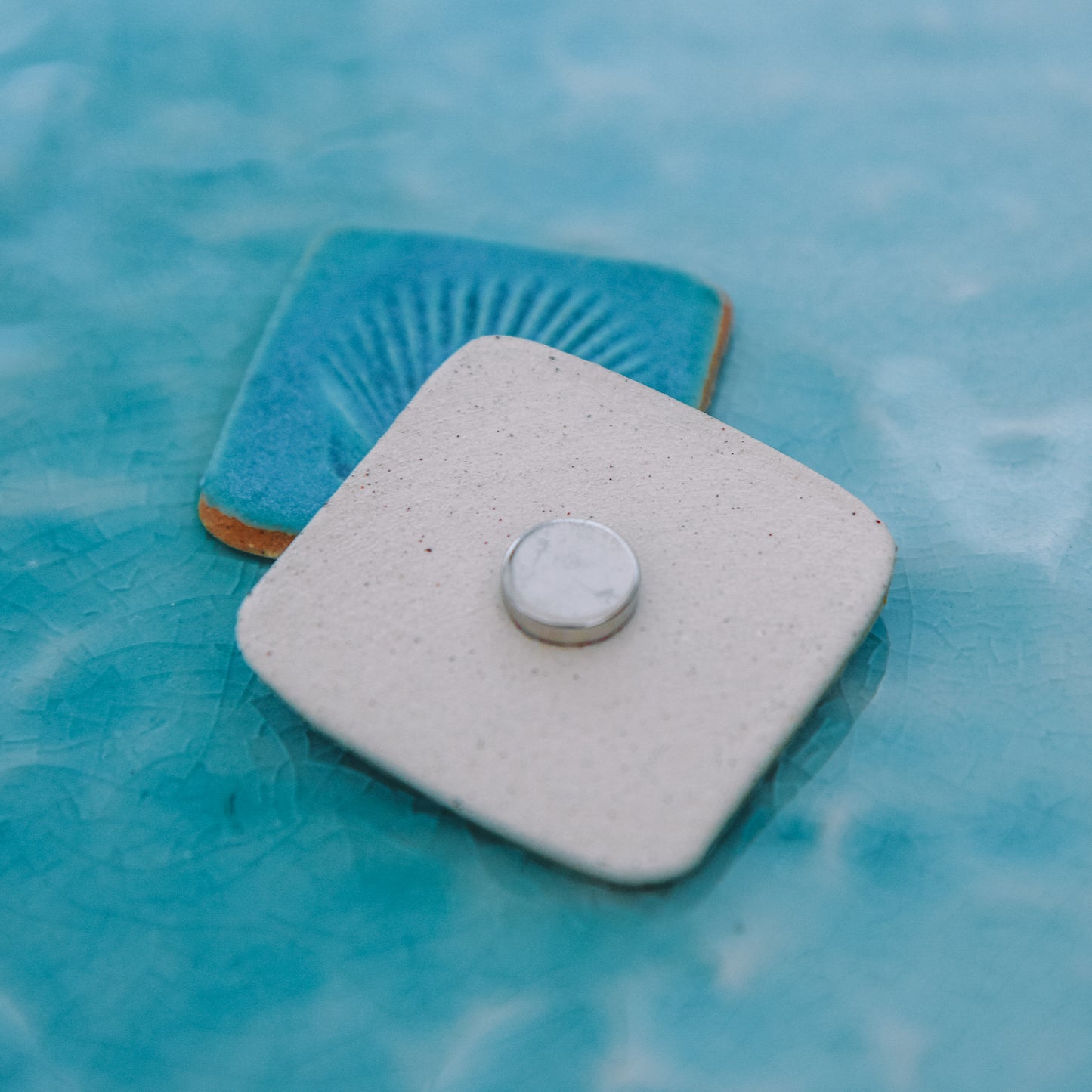 Shell Imprint Magnet