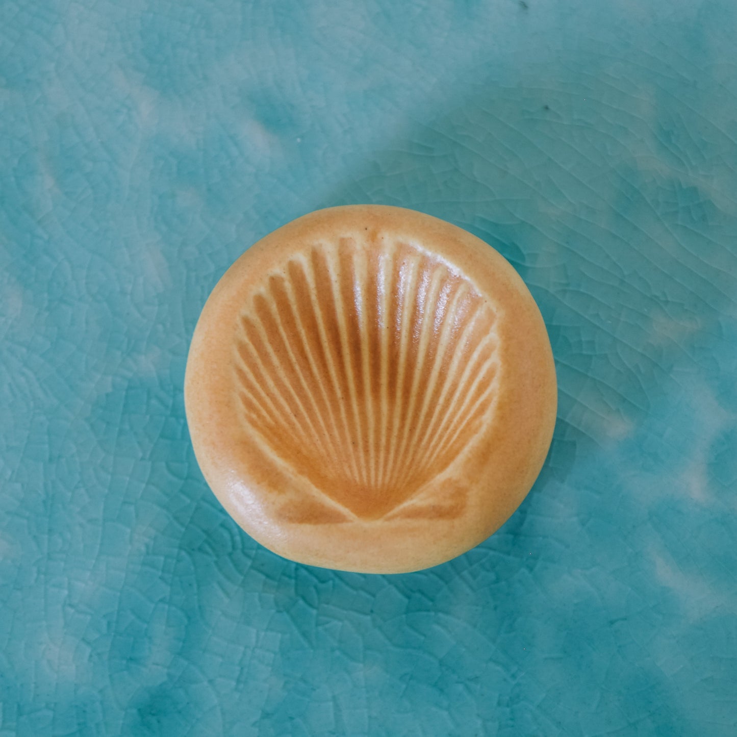 Shell Ring Dish | Island Sun
