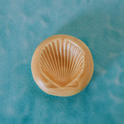 Shell Ring Dish | Island Sun