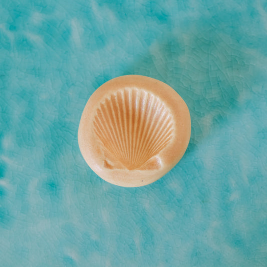 Shell Ring Dish | Island Sun