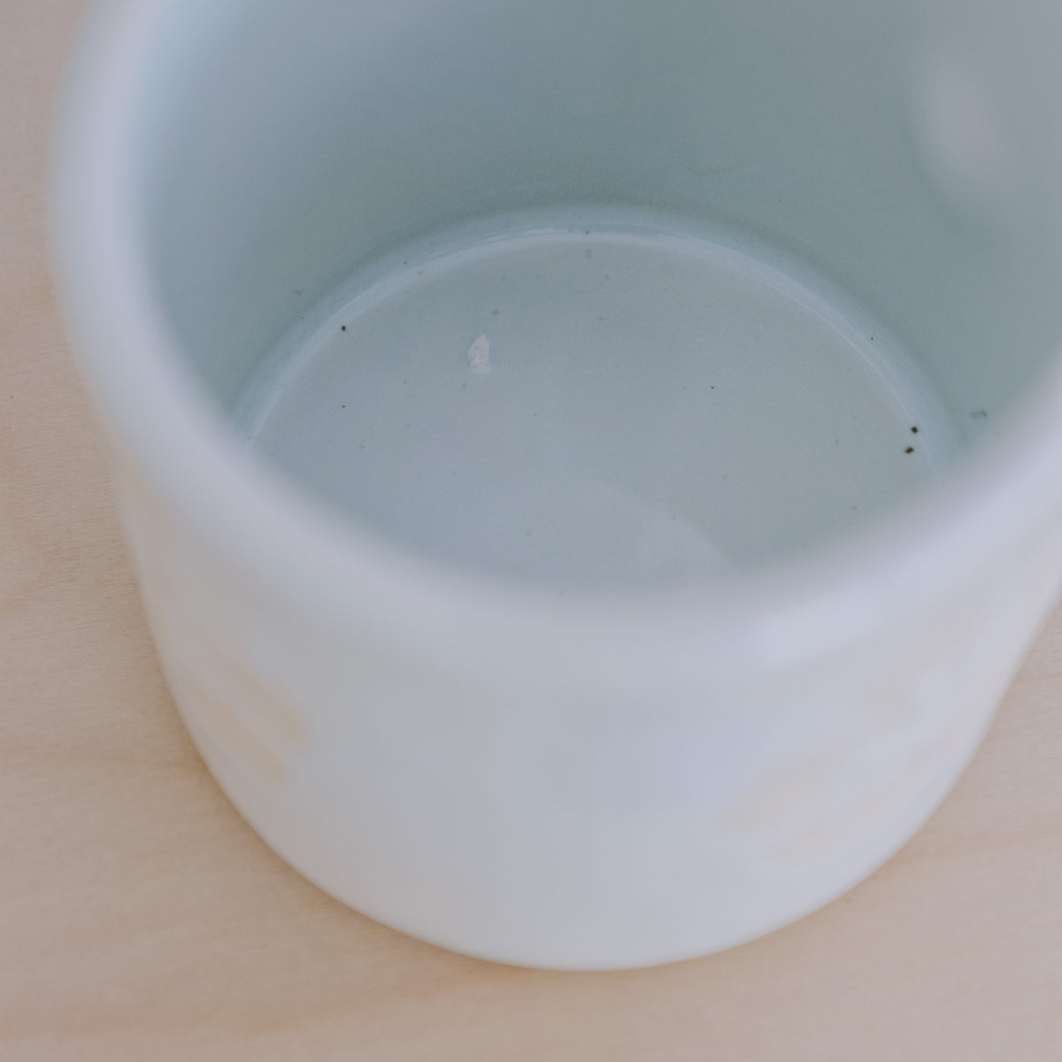 Hibiscus Cup | 10oz Coconut - *Discounted*