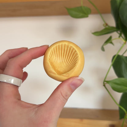 Shell Ring Dish | Island Sun