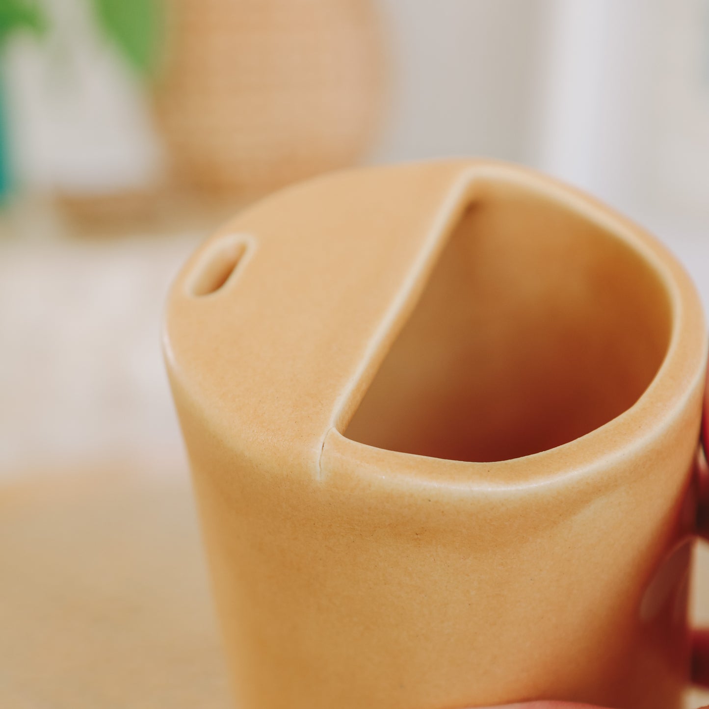 Palm Takeaway Cup | 16oz Island Sun - *Discounted*